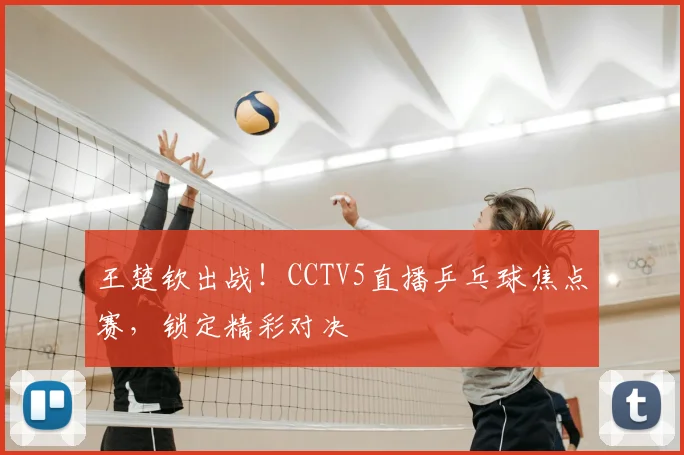 王楚钦出战!CCTV5直播乒乓球焦点赛,锁定精彩对决